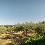 Assisi La Rocca * Petrignano