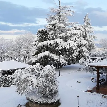 Assisi La Rocca * Petrignano