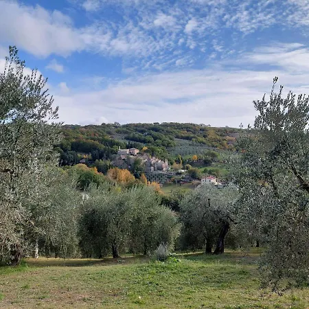 La Rocca Assisi