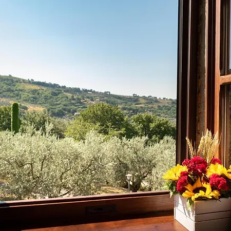 Assisi La Rocca * Petrignano