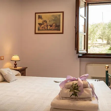 Assisi La Rocca Petrignano