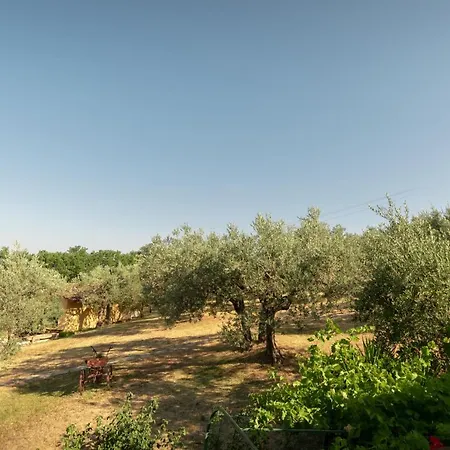 Assisi La Rocca * Petrignano